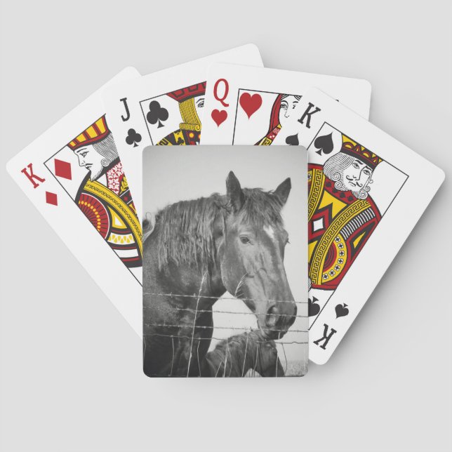 Pferde hinter dem Zaun in Schwarz und Weiß Spielkarten (Rückseite)