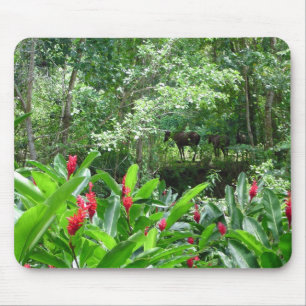 Pferde im Paradies Mousepad