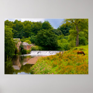 Pferde im Pollok Park, Glasgow Poster