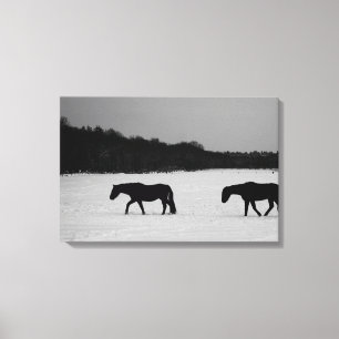 Pferde im Schnee 24x16 (60x40cm) Waccna Leinwanddruck