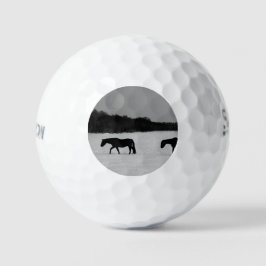 Pferde im Schnee ssf gbcnm Golfball