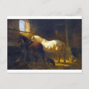Pferde im Stall Postkarte
