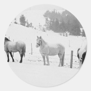 Pferde im Winter Runder Aufkleber