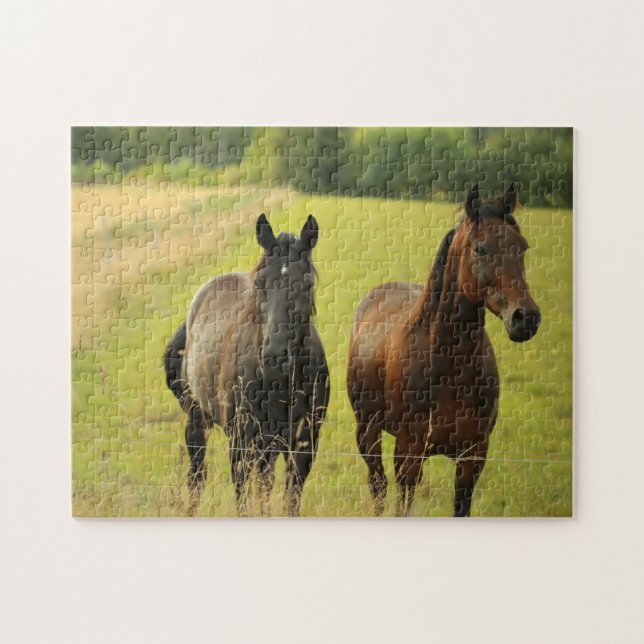 Pferde Image Shot Jigsaw Puzzle (Horizontal)