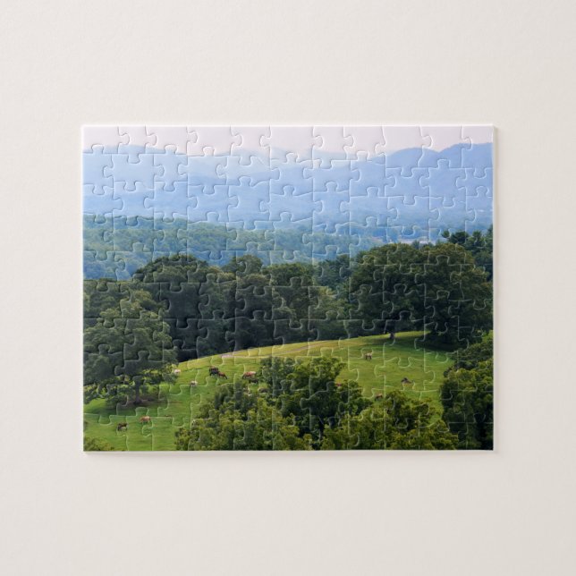 Pferde in den Blue Ridge Mountains - 8 x 10 Zoll Puzzle (Horizontal)
