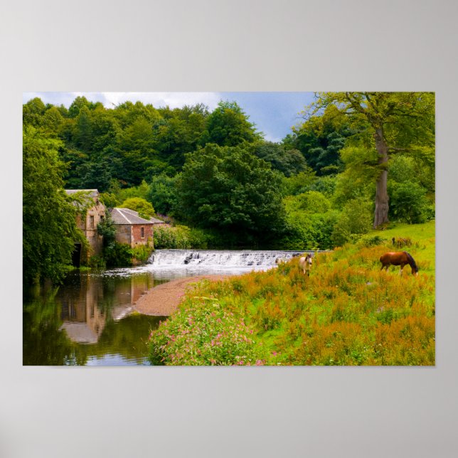 Pferde in Pollok Park, Glasgow Poster (Vorne)