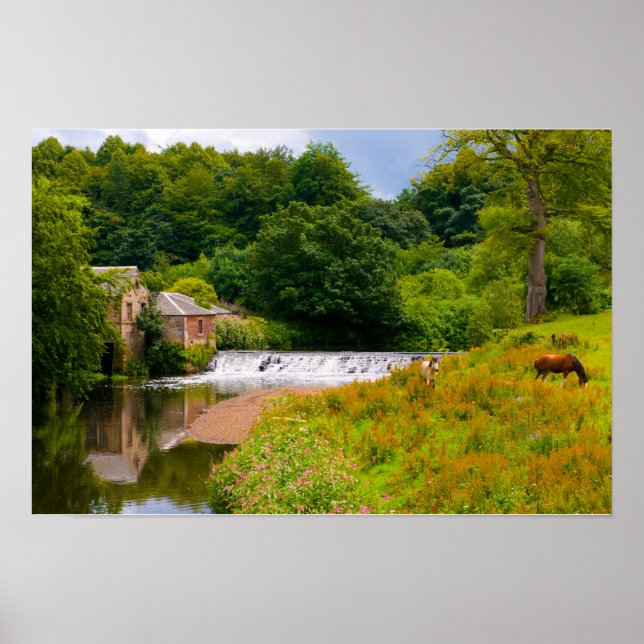 Pferde in Pollok Park, Glasgow Poster (Vorne)