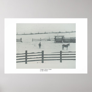 Pferde in Snowy-Hürde Poster