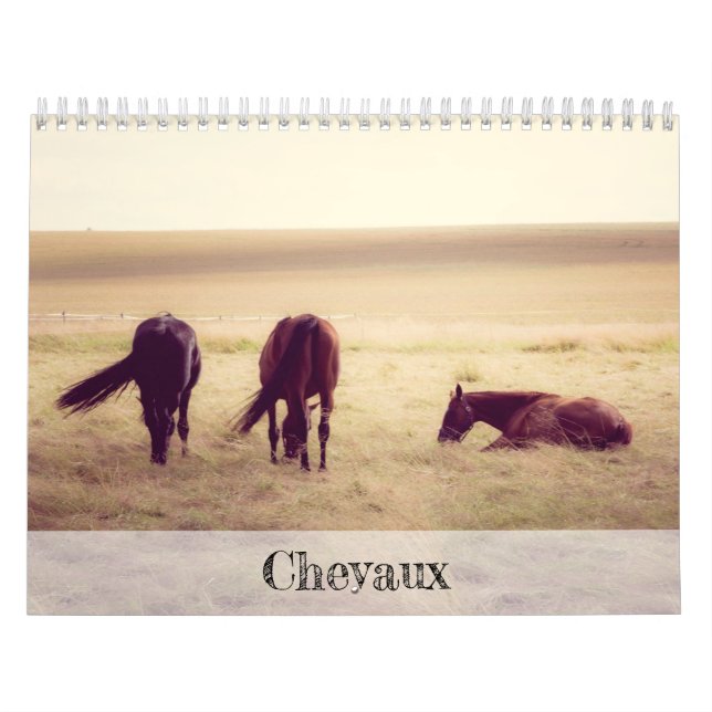 Pferde Kalender (Titelbild)