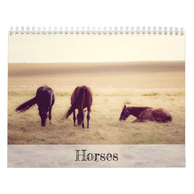 Pferde Kalender (Titelbild)