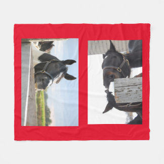 Pferde Kauen auf einem Zaun Fleecedecke