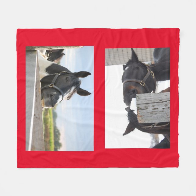 Pferde Kauen auf einem Zaun Fleecedecke (Vorderseite (Horizontal))