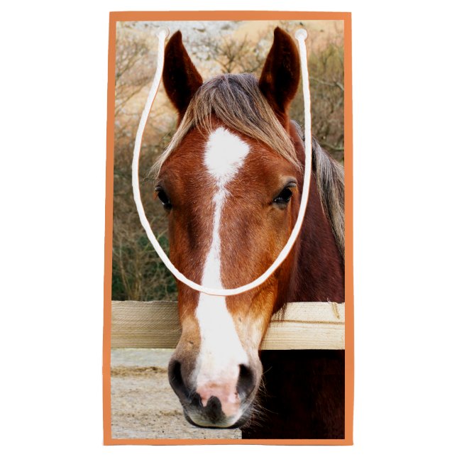 PFERDE KLEINE GESCHENKTÜTE (Vorderseite)