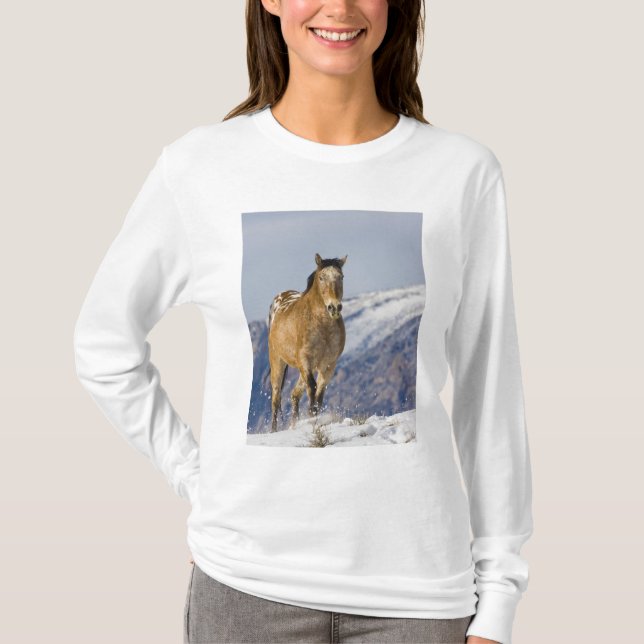 Pferde laufen im Schnee T-Shirt (Vorderseite)