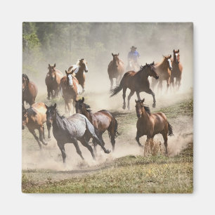 Pferde laufen während des Roundups, Montana Magnet