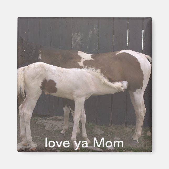 Pferde Magnet (Vorne)