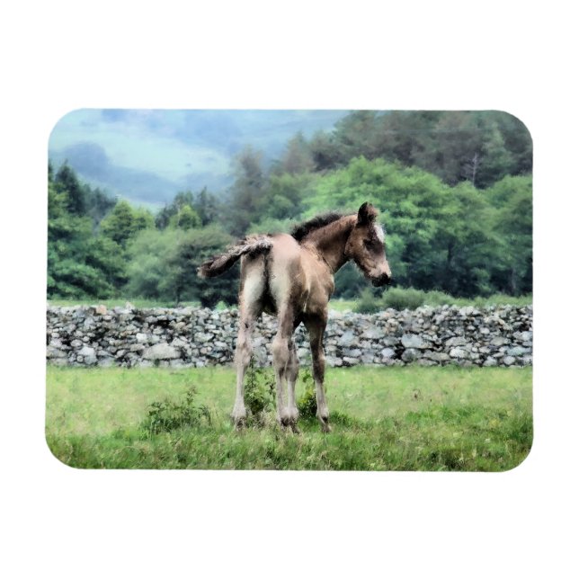 PFERDE MAGNET (Horizontal)
