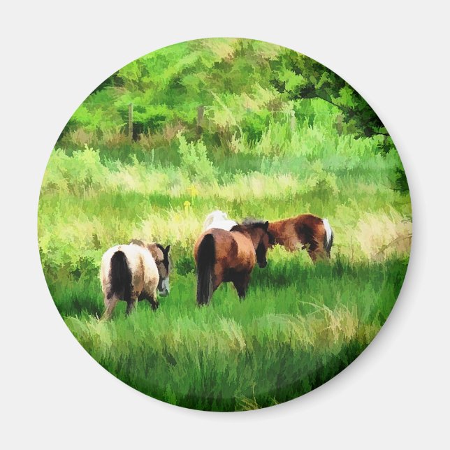 PFERDE MAGNET (Vorne)