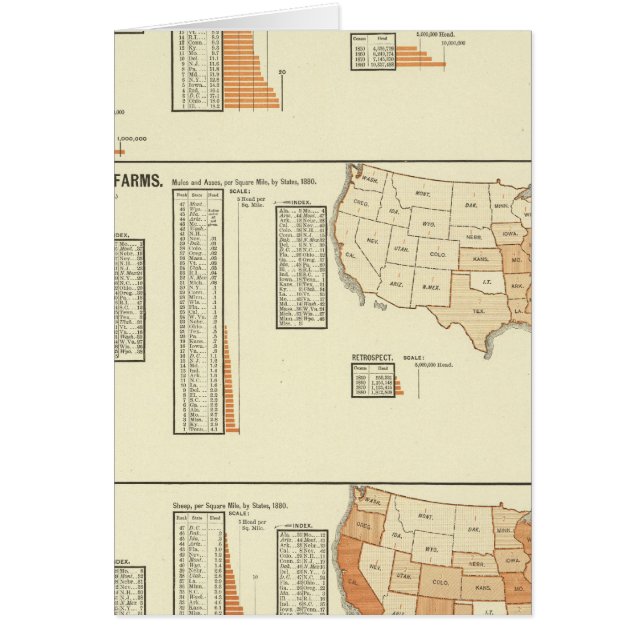 Pferde, Maultiere, Esel, Schafe (Vorne)