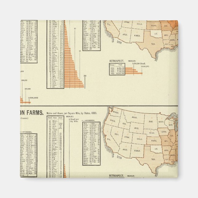 Pferde, Maultiere, Esel, Schafe Magnet (Vorne)