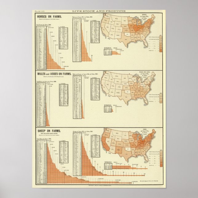 Pferde, Maultiere, Esel, Schafe Poster (Vorne)