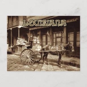 Pferde-Milchwagen, New Orleans, Louisiana Postkarte