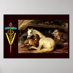 PFERDE MIT GOLDENEM CADUCEUS-VETERINÄR-SYMBOL POSTER