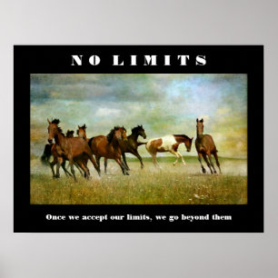 Pferde Motivierend Inspiration No Limits Zitat Poster