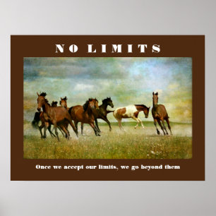 Pferde Motivierend Inspiration No Limits Zitat Poster