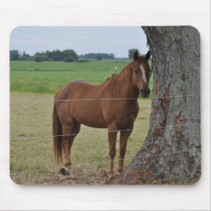 Pferde Mousepad