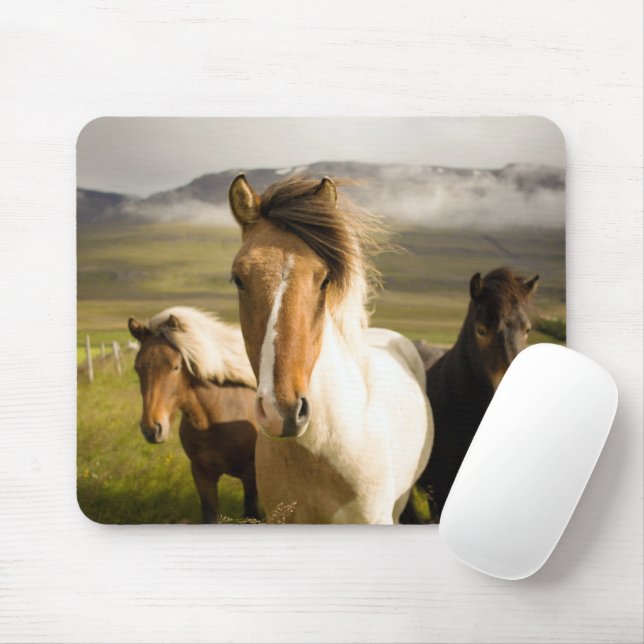 Pferde Mousepad (Mit Mouse)