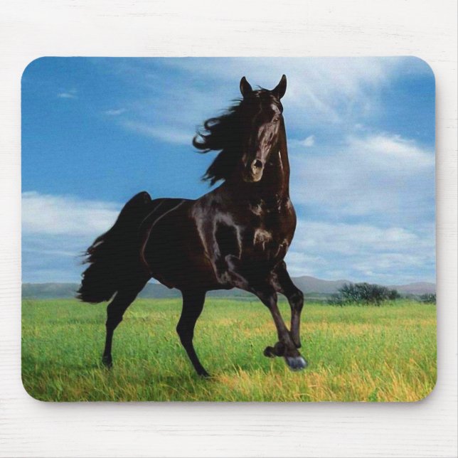 Pferde Mousepad (Vorne)