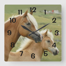 Pferde Palomino Mutter und Foal Portrait
