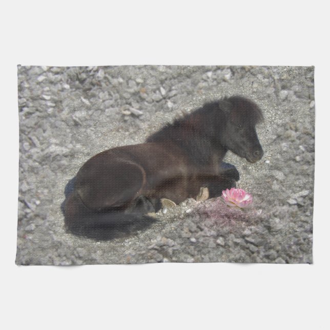 Pferde Pony Shetty Animal Minihoro Küchentuch (Horizontal)