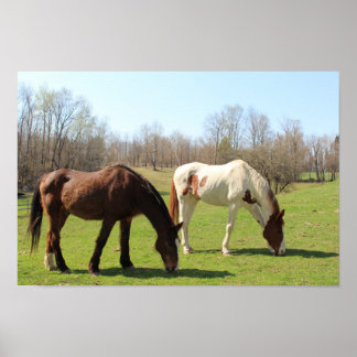Pferde Poster