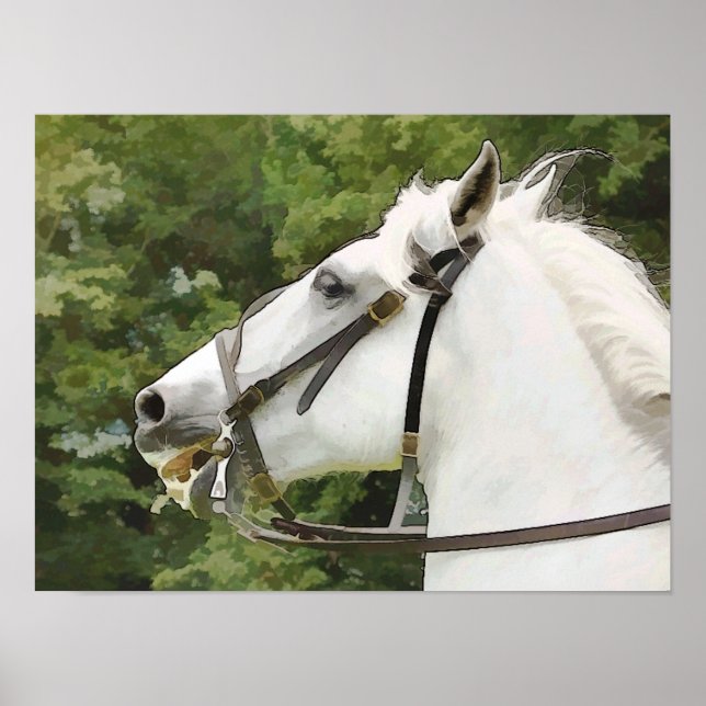 PFERDE POSTER (Vorne)