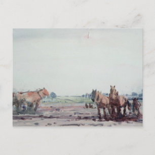 Pferde Postkarte
