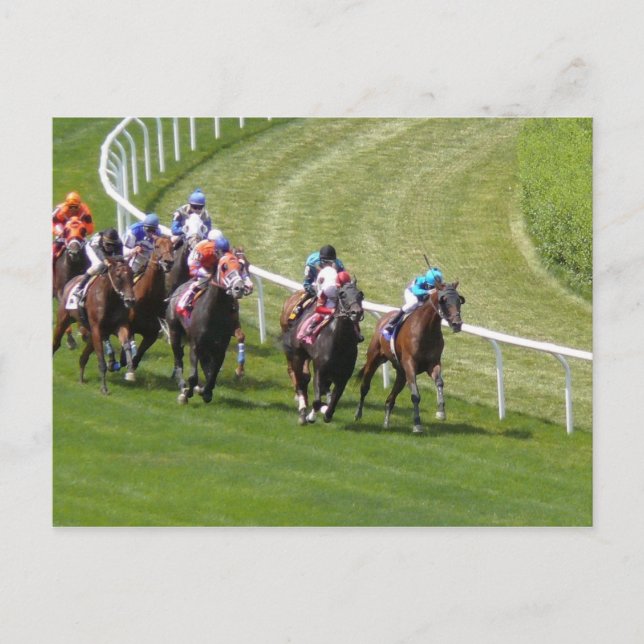 Pferde Postkarte (Vorderseite)