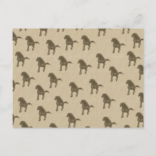 Pferde Postkarte
