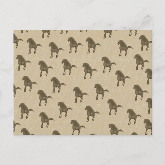 Pferde Postkarte (Vorderseite)