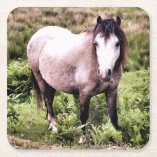 PFERDE RECHTECKIGER PAPPUNTERSETZER
