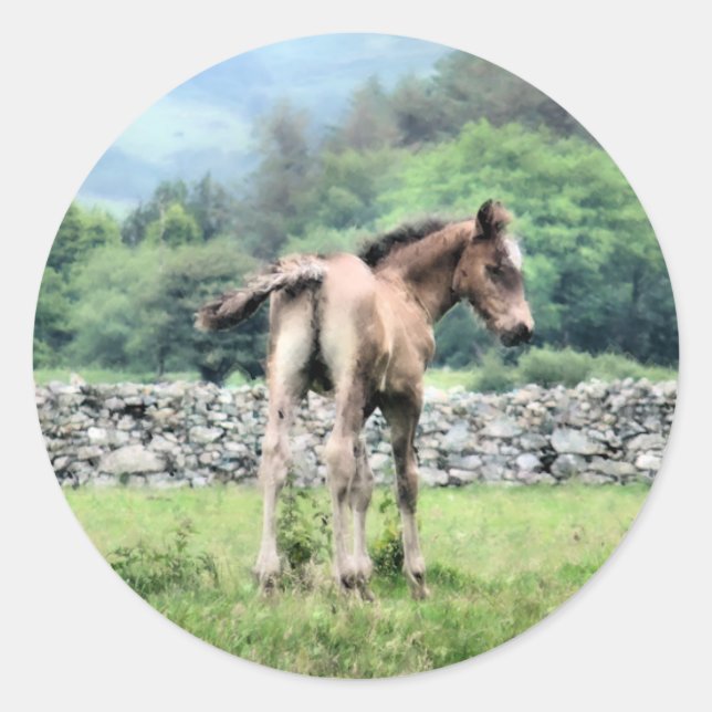 PFERDE RUNDER AUFKLEBER (Vorderseite)