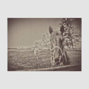 Pferde Rustikale Vintage-Sepia-Decoupage im Landha Seidenpapier