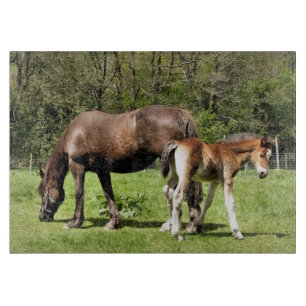 PFERDE SCHNEIDEBRETT