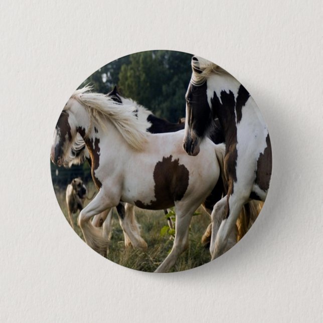 PFERDE SCHWARZES UND WEISSES 1.PNG BUTTON (Vorderseite)
