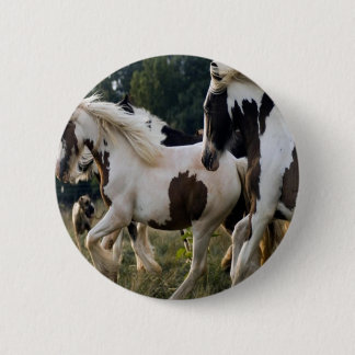 PFERDE SCHWARZES UND WEISSES 1.PNG BUTTON