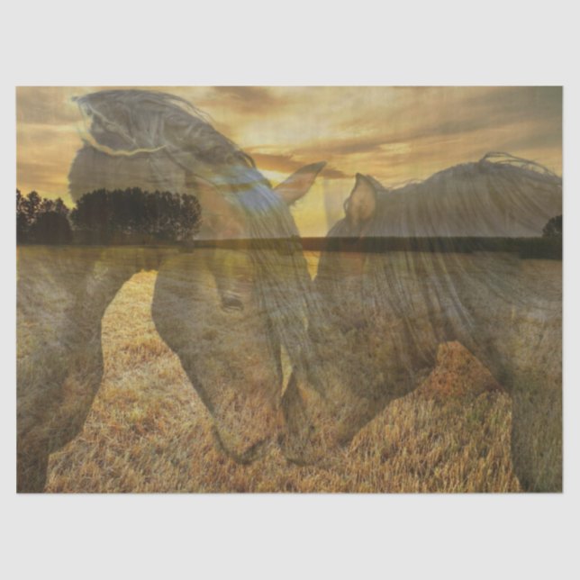 Pferde Seidenpapier (Vorderseite)