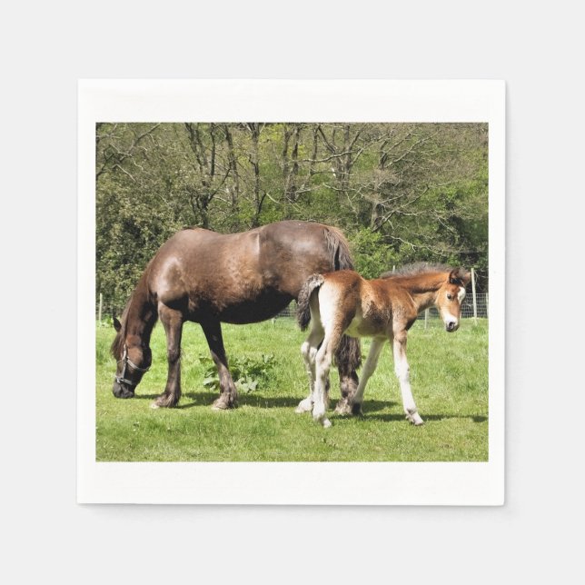 PFERDE SERVIETTE (Vorderseite)