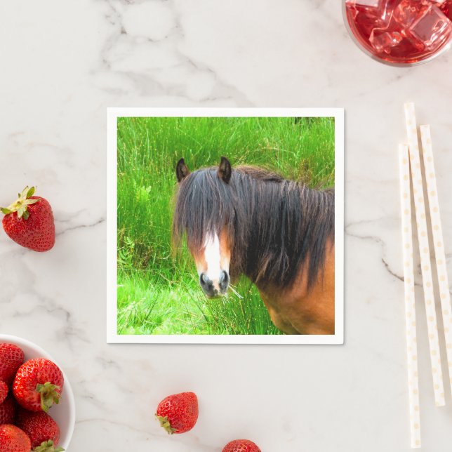 PFERDE SERVIETTE (Beispiel)