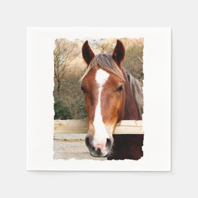 PFERDE SERVIETTE (Vorderseite)